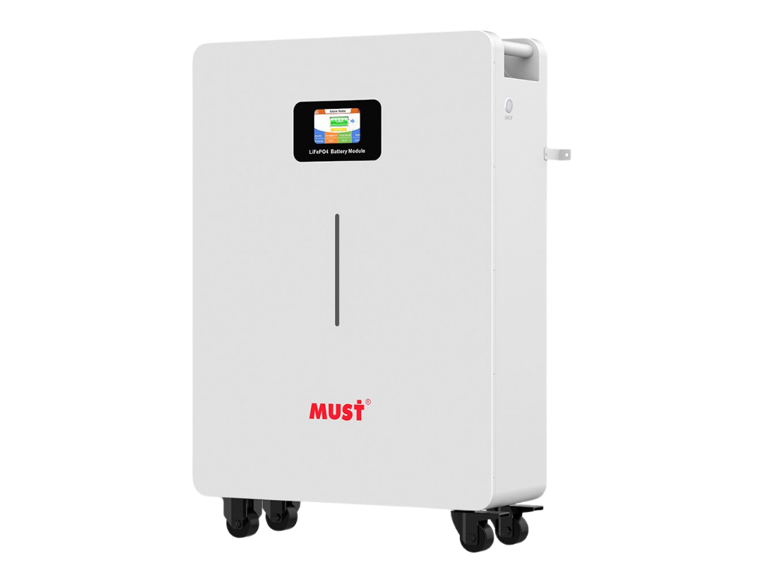 BATERIA DE LITIO 51.2V-200 AH MUST