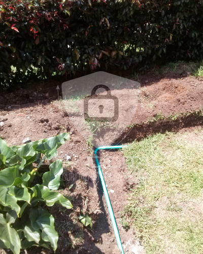 Finca Rionegro imagen 12