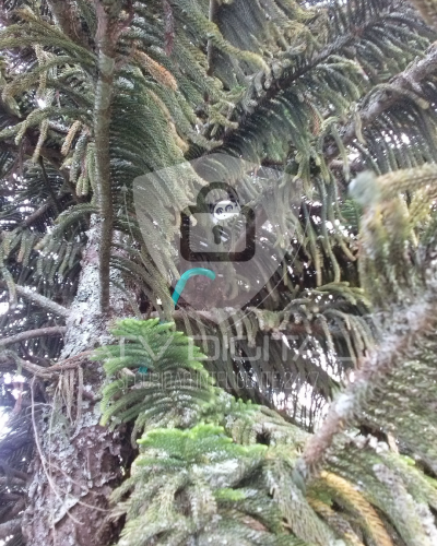 Finca Rionegro imagen 9